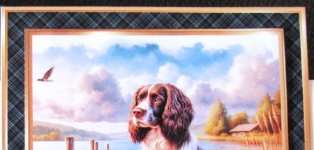 6x6 Plaid Frames - x6 Frames in PNG  by Davina Rundle