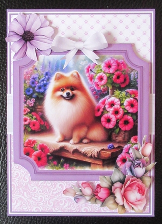 POMERANIAN DOG toppers by Davina Rundle