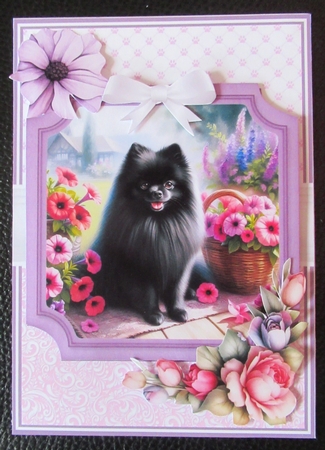 POMERANIAN DOG toppers by Davina Rundle
