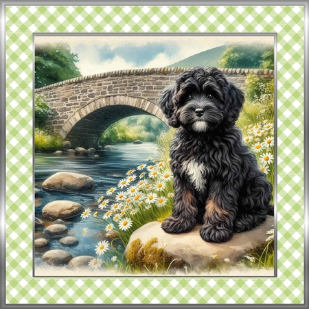 Daisy Creek Pups 7 by Davina Rundle