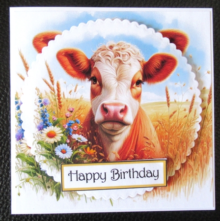  Meadow Cows  by Davina Rundle