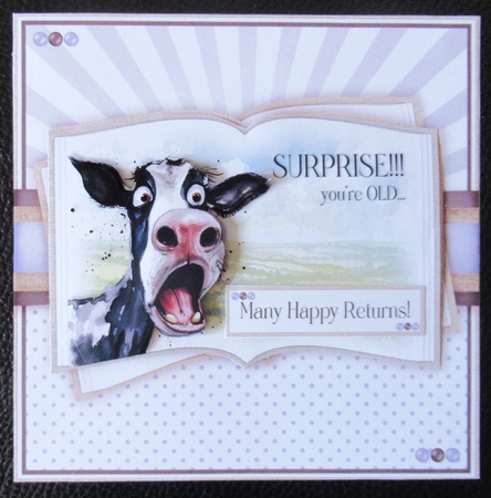 Surprised Bull No.3 by Davina Rundle