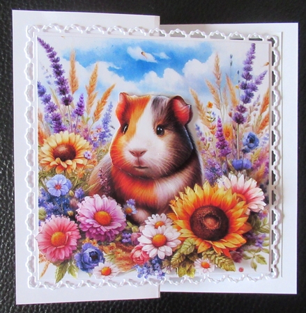 Floral Guinea-Pig  by Davina Rundle