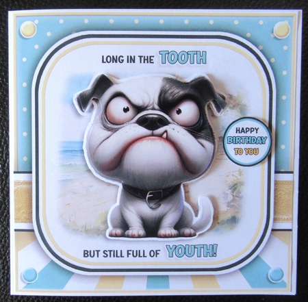 Long In The Tooth! by Davina Rundle