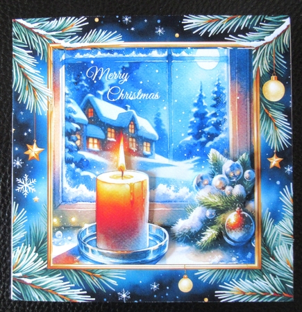 Winter frames 2 by Davina Rundle