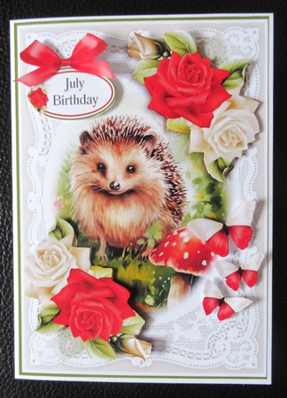 Hedgehog Lace and Roses No.4 by Davina Rundle