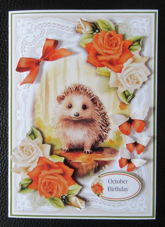 Hedgehog Lace and Roses No.5 by Davina Rundle