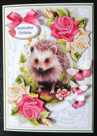 Hedgehog Lace and Roses No.6 by Davina Rundle
