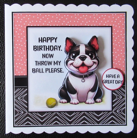 Throw my ball by Davina Rundle