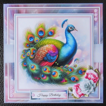 Cute Colourful Peacock Mini Page Kit by Davina Rundle
