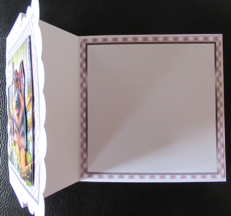 6x6 Gingham Pastel 1 Frames 1-6 in JPEG by Davina Rundle
