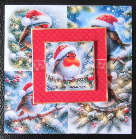 Festive Robins by Davina Rundle