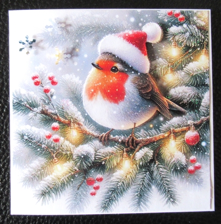 Festive Robins by Davina Rundle