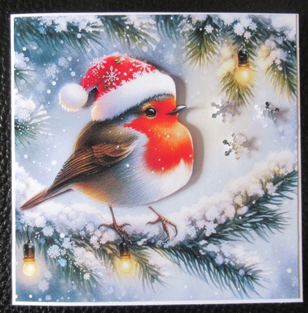 Festive Robins by Davina Rundle