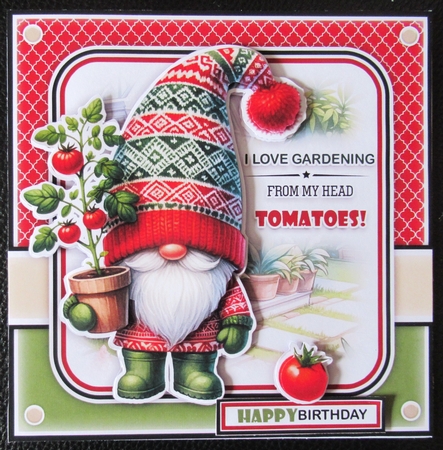 Tomatoes Mini Kit by Davina Rundle