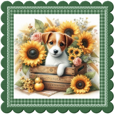 Sunflower Field Mats by Davina Rundle