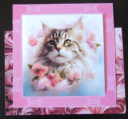 Maine Coon Cat and Flowers Mix 6 by Davina Rundle