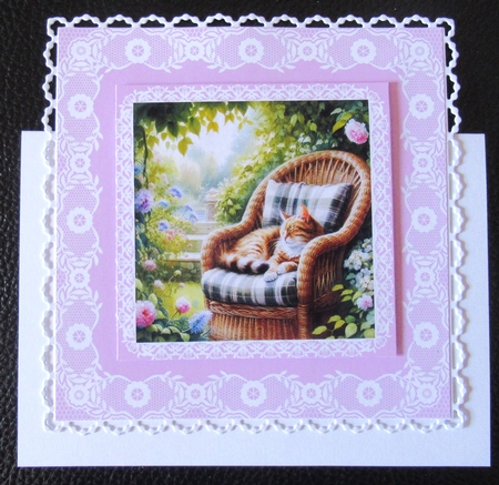 Afternoon Snooze by Davina Rundle