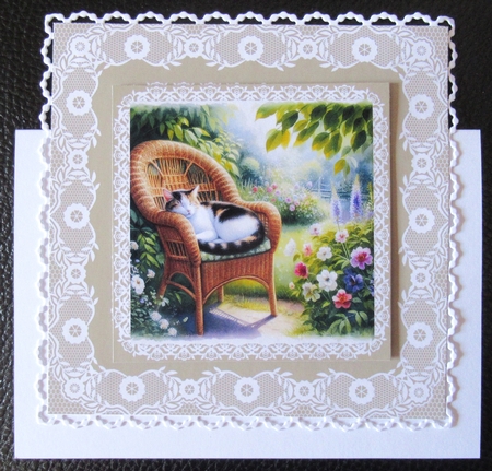 Afternoon Snooze by Davina Rundle