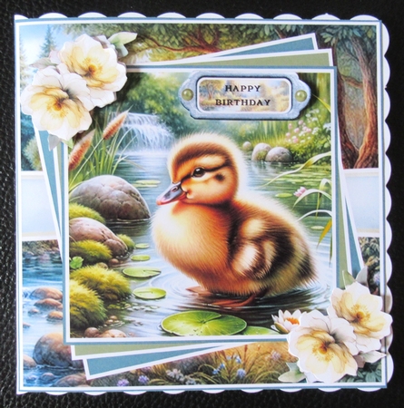 Cute Duckling Mini Page Kit by Davina Rundle