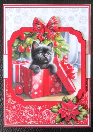 CHRISTMAS GIFTS - CATS by Davina Rundle
