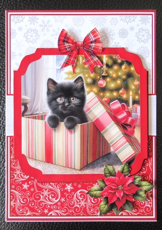 CHRISTMAS GIFTS - CATS by Davina Rundle