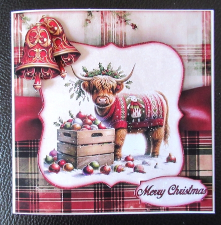 Highland Cow Mini Kit  by Davina Rundle