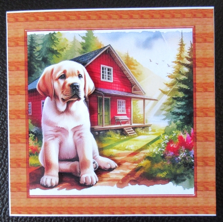 Forest Cabin Dogs by Davina Rundle