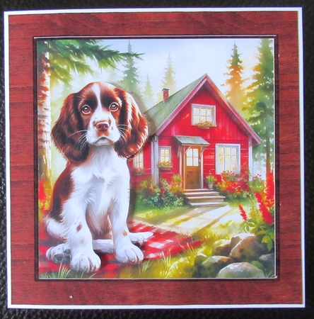 Forest Cabin Dogs 3 by Davina Rundle