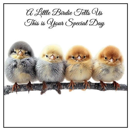 Birds on a Branch Card Toppers by Davina Rundle