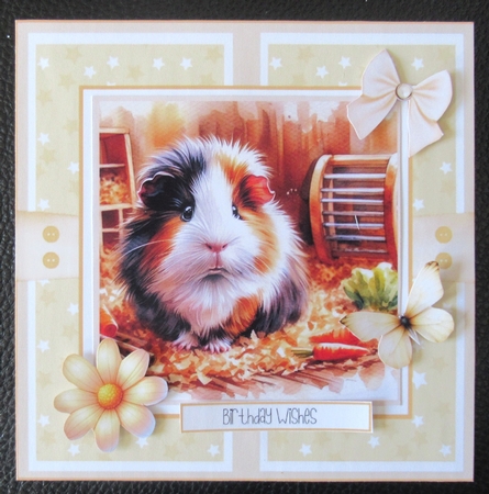 Cute Guinea Pigs by Davina Rundle