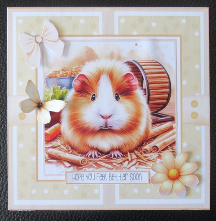 Cute Guinea Pigs by Davina Rundle