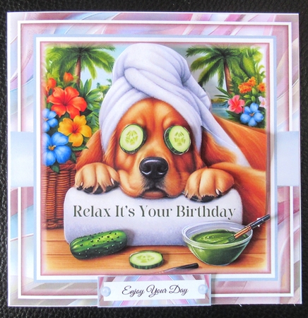 Relax Its Your Birthday 03 Mini Page Kit by Davina Rundle