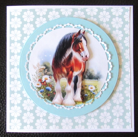  Clydesdale Meadow 1 by Davina Rundle