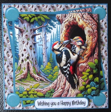 The woodpecker 8x8 by Davina Rundle