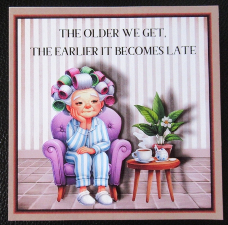 The Older We Get Mini Kit by Davina Rundle