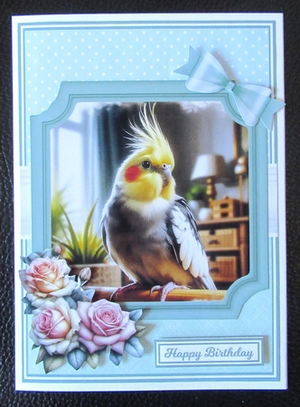 WHOS A PRETTY BOY by Davina Rundle