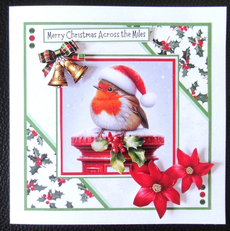 A Cute Christmas Robin by Davina Rundle
