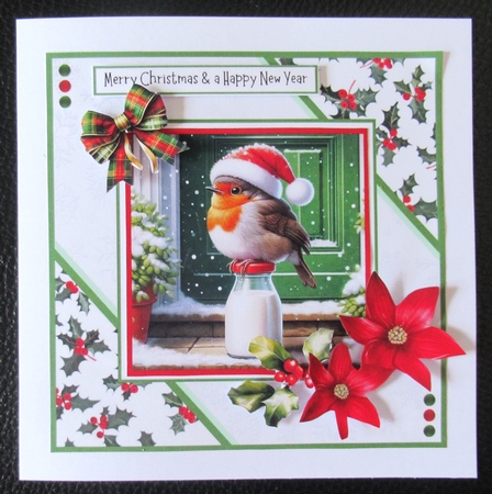A Cute Christmas Robin by Davina Rundle