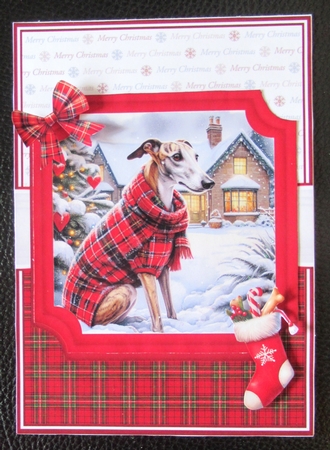 CHRISTMAS TARTAN GREYHOUNDS by Davina Rundle