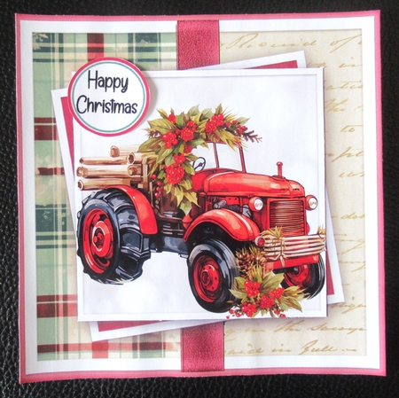 Country Christmas  by Davina Rundle
