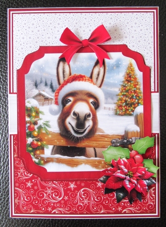 HAPPY CHRISTMAS DONKEY by Davina Rundle