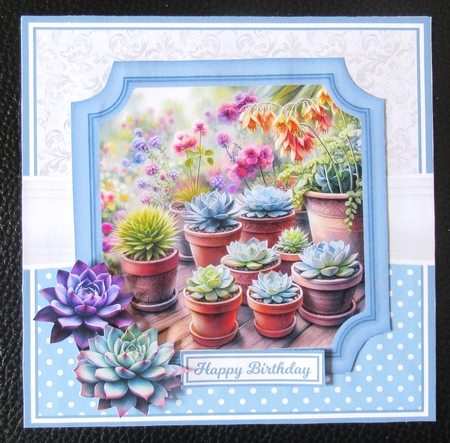 SUPER SUCCULENTS by Davina Rundle