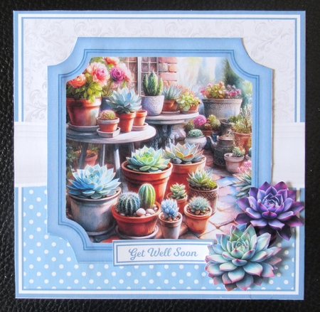 SUPER SUCCULENTS by Davina Rundle