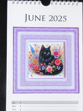 Vibrant Flower  Cats 2 by Davina Rundle