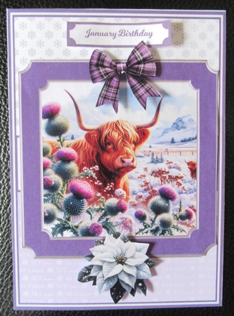 CHRISTMAS THISTLES by Davina Rundle