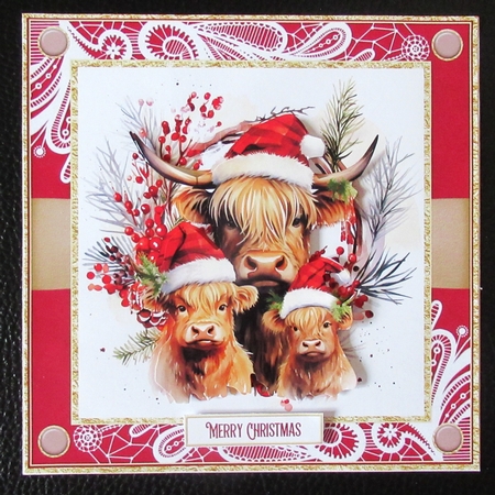 Family Christmas 5 x kits collection 1 by Davina Rundle