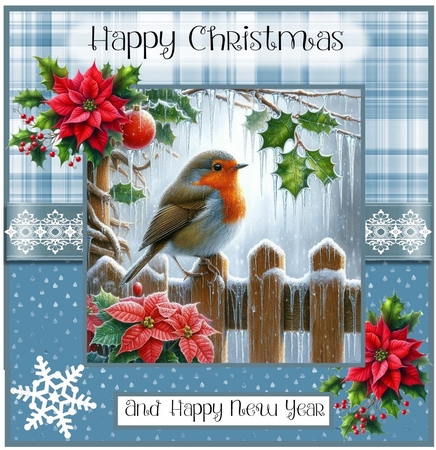 The Frosty Fence by Davina Rundle