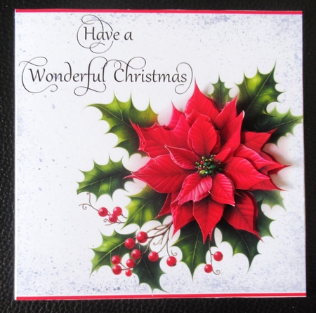 Wonderful Poinsettia by Davina Rundle