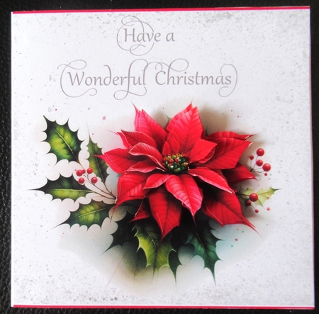 Wonderful Poinsettia by Davina Rundle